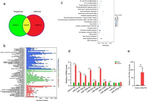 Analysis Of The Predicted Target Genes Of Differentially Expressed