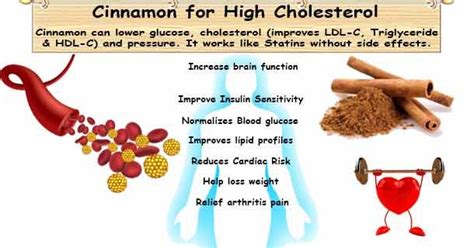 Herb Cinnamon Lower Cholesterol Cinnamon Uses Lipid Profile Lower