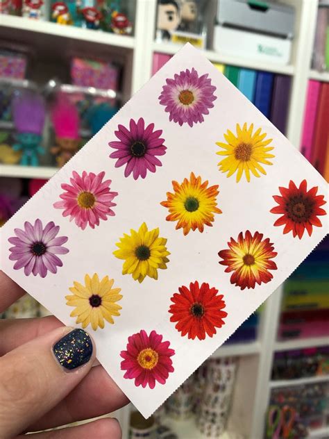 Sheet Of Flower Stickers Mrs Grossmans Giant Gerbera Daisy Etsy