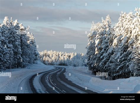 Frosty winter in northern Sweden Stock Photo - Alamy