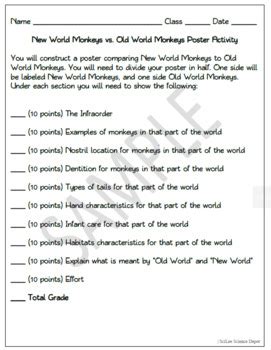 New World Monkeys vs. Old World Monkeys Poster Activity by SciLee ...