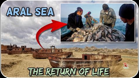 The Community That Bringing A Sea Back To Life Aral Sea Youtube