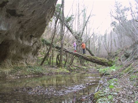 Siena Pesca Fiumi Fauna Ittica E Pesca In Provincia Di Siena