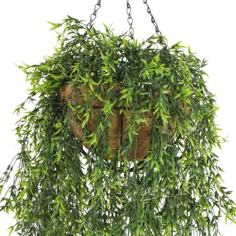 Cm Faux Hanging Ruscus Plant Temple Webster