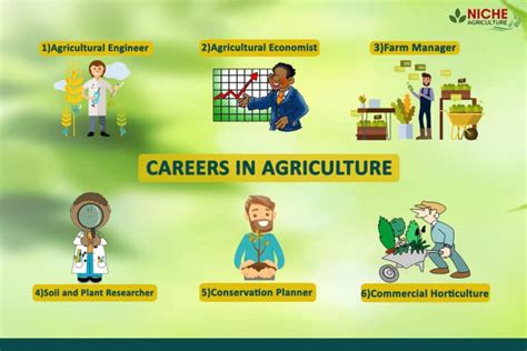 Know About Careers In Agriculture Niche Agriculture