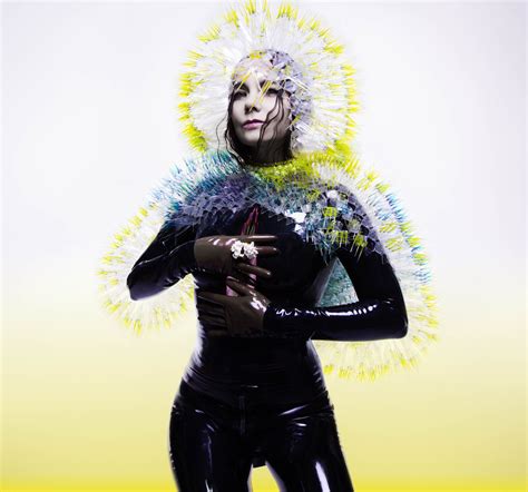 Björk Vulnicura Maiko Takeda Bjork Album Covers Album Art