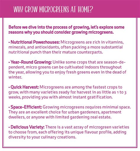 From Seed to Salad: A Microgreen Growing Guide | Agrimark