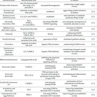 The alteration of gut microbiota and bile acids in metabolism disorder ...