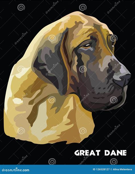 Great Dane Colorful Vector Portrait Stock Vector Illustration Of