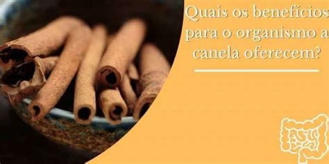 Canela Solta O Intestino - A canela ajuda a prender o intestino?
