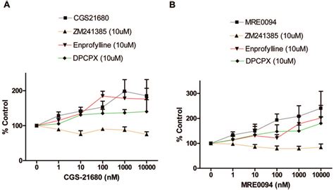 Cgs And Mre Increase Vascular Tube Formation In Vitro Hmvecs