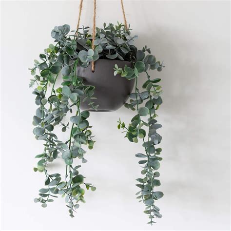 Hdg Hanging Eucalyptus Plant 75cm Ceramic Grey Pot Artificial Faux