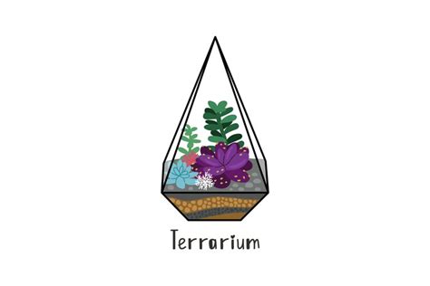 Succulents in terrarium