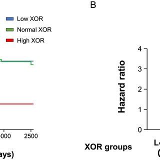 Impact Of Xanthine Oxidoreductase Xor Activity On Clinical Outcomes