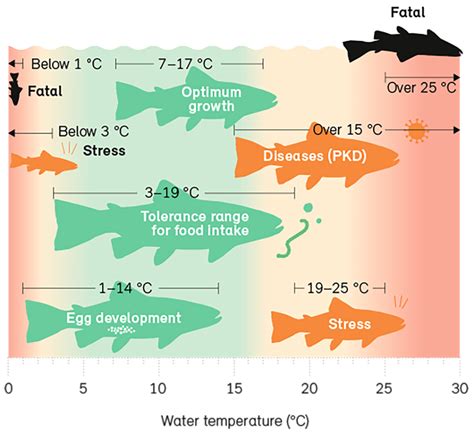 Water Ecology