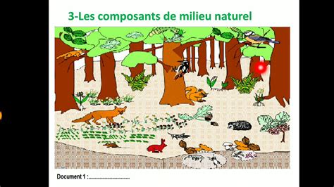 Cours de 1AC Svt partie 1 la découverte d un milieu naturel استكشاف