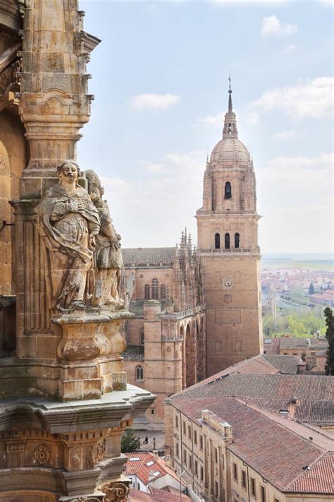 Catedral Catedral Nueva Cidade Velha De Salamanca Espanha Imagem