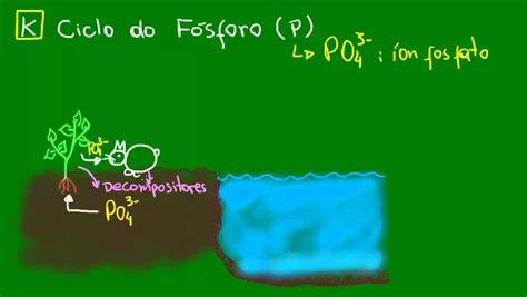 Ciclo Do Fósforo Ecologia Biologia Youtube