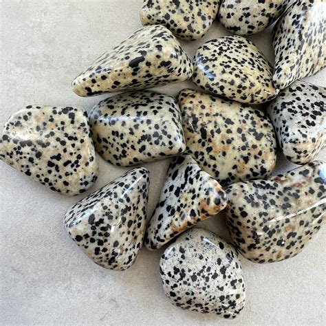 Dalmation Stone Tumbled Stones Xl 350g Chakra Wholesale