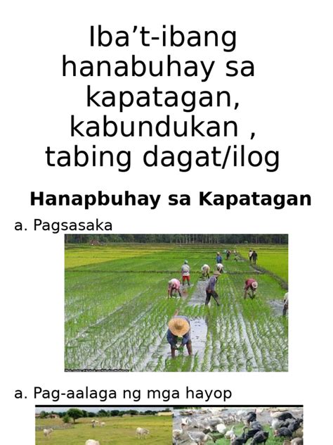ibat ibang hanabuhay sa kapatagan kabundukan tabing dagatilog