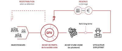 Gf Patrimoine Conseil Et Investissement Dans Le Vin Et La For T Fran Aise