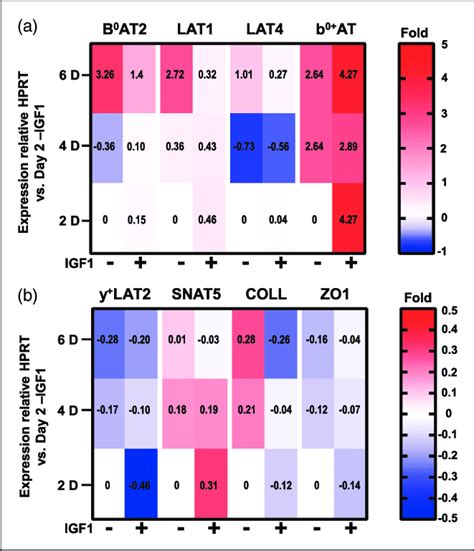 Effect Of Culture Media And Days Of Culture On Hcmec D3 Gene Download Scientific Diagram