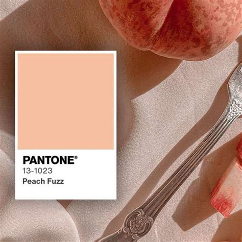 Peach Fuzz Pantone del año 2024 Agencia Biela