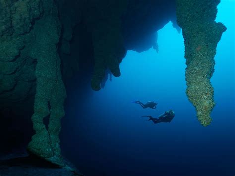 Belize Diving Wallpapers - 4k, HD Belize Diving Backgrounds on WallpaperBat