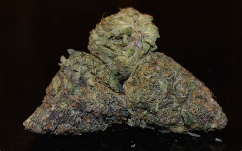 Buy Pink Kush (AAA+) Online in Canada - Bulk Weed