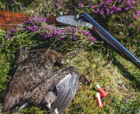 Robin Hurt Safaris Bird Shooting