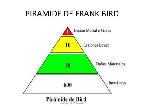 Pirâmide De Frank Bird Librain