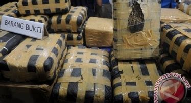 Tanam Ganja Untuk Dijual Poek Asal Jampangtengah Sukabumi Diciduk