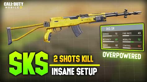 Sks Best Class Setup Call Of Duty Mobile Cod Mobile Sks Insane