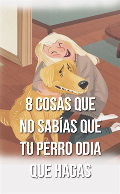 8 cosas que no sabías que tu perro odia que hagas Mujer de 10 Guía