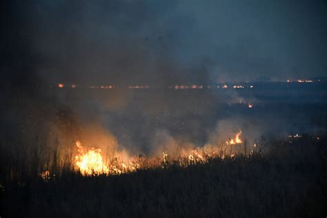 Fuego En El Delta De Paraná El Viento Reavivó Los Incendios En Las