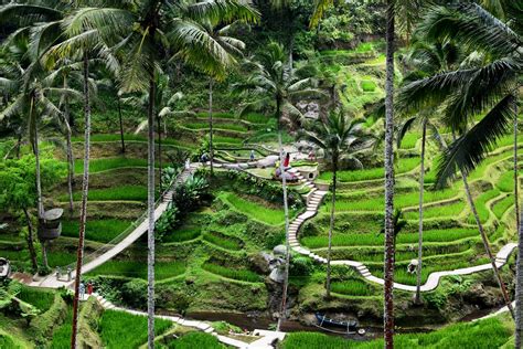 10 Must Visit Attractions in Ubud, Bali That Are Drop Dead Gorgeous