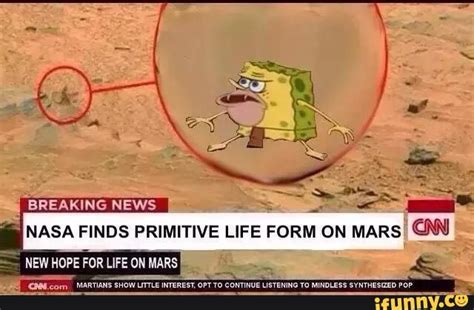 Nasa Finds Primitive Life Form On Mars Spongegar Primitive Sponge