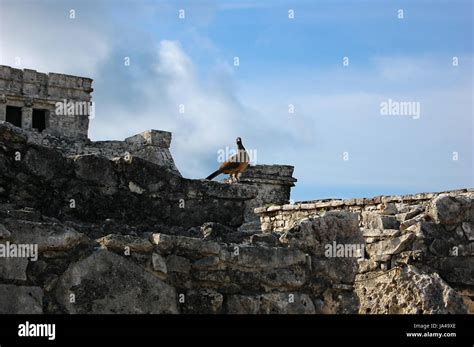 Mayan Ruins, Tulum, Quintana Roo, Mexico Stock Photo - Alamy