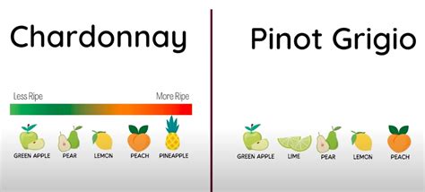 Pinot Grigio Vs Chardonnay Which Is Better Mountain Lyon Cafe