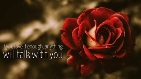 [200+] Love Quotes Wallpapers | Wallpapers.com