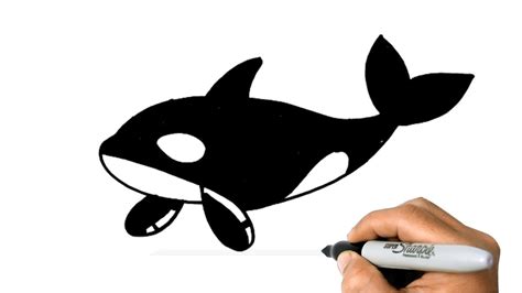 How To Draw An ORCA WHALE Easy Step By Step Drawing YouTube