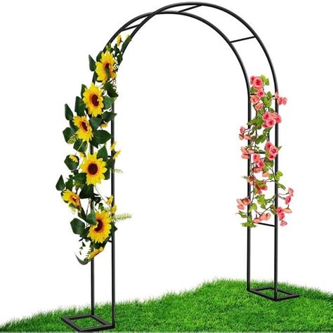 Arche De Jardin Pour Rosiers Plantes Grimpantes Noir Metal Arceau