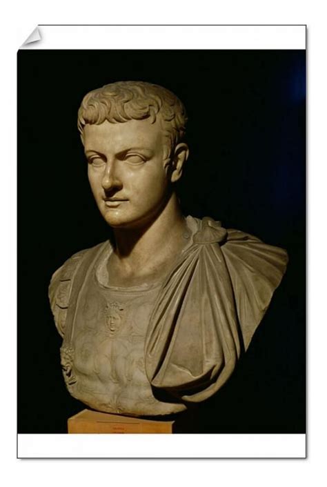 30x20cm 12x8 Inch Print Xir224997 Bust Of Caligula 12 41 Ad Stone