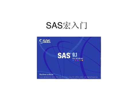 Sas宏入门word文档在线阅读与下载无忧文档