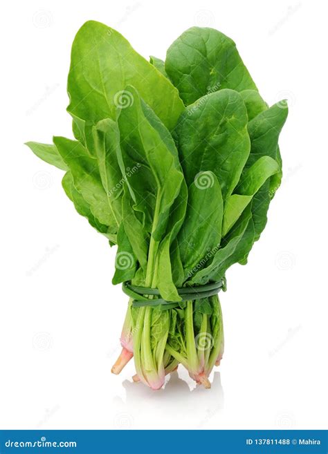 Bunch Of Fresh Spinach On White Background Stock Photo Image Of Leaf