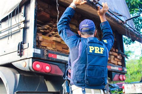 Bitrem transportando madeira nativa de forma ilegal é apreendido na BR