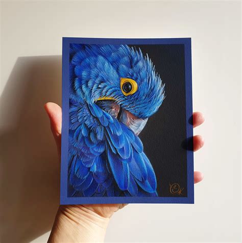 Hyacinth Macaw Original Drawing, Blue Parrot Portrait, Miniature Bird ...