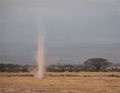 Dreaming of Tornadoes: Remarkable Meanings Behind the Dreams