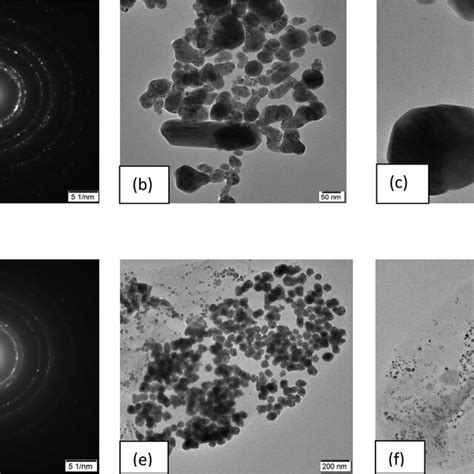 Sem Images For A Ag Nano B Ag Nano Co Solution C Np D Ag Np