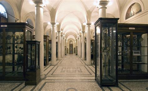 Museotorino